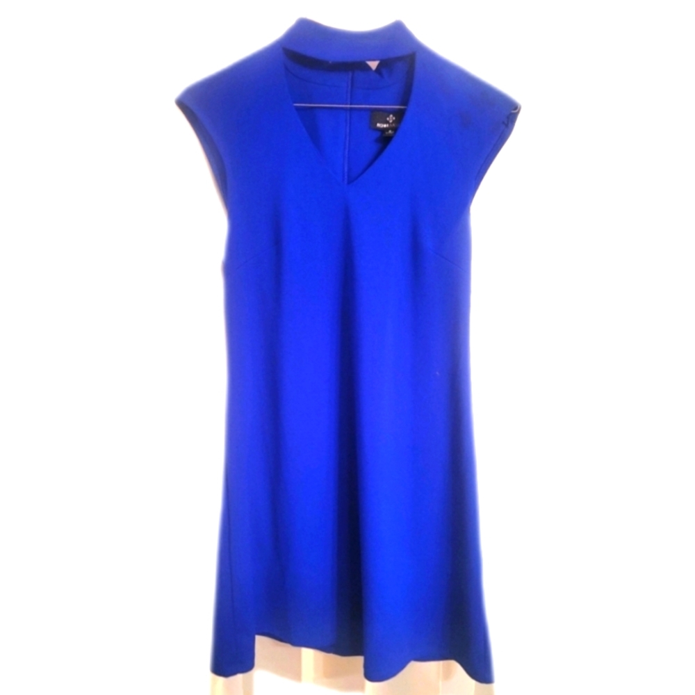 NWT Blue Roni Nicole dress